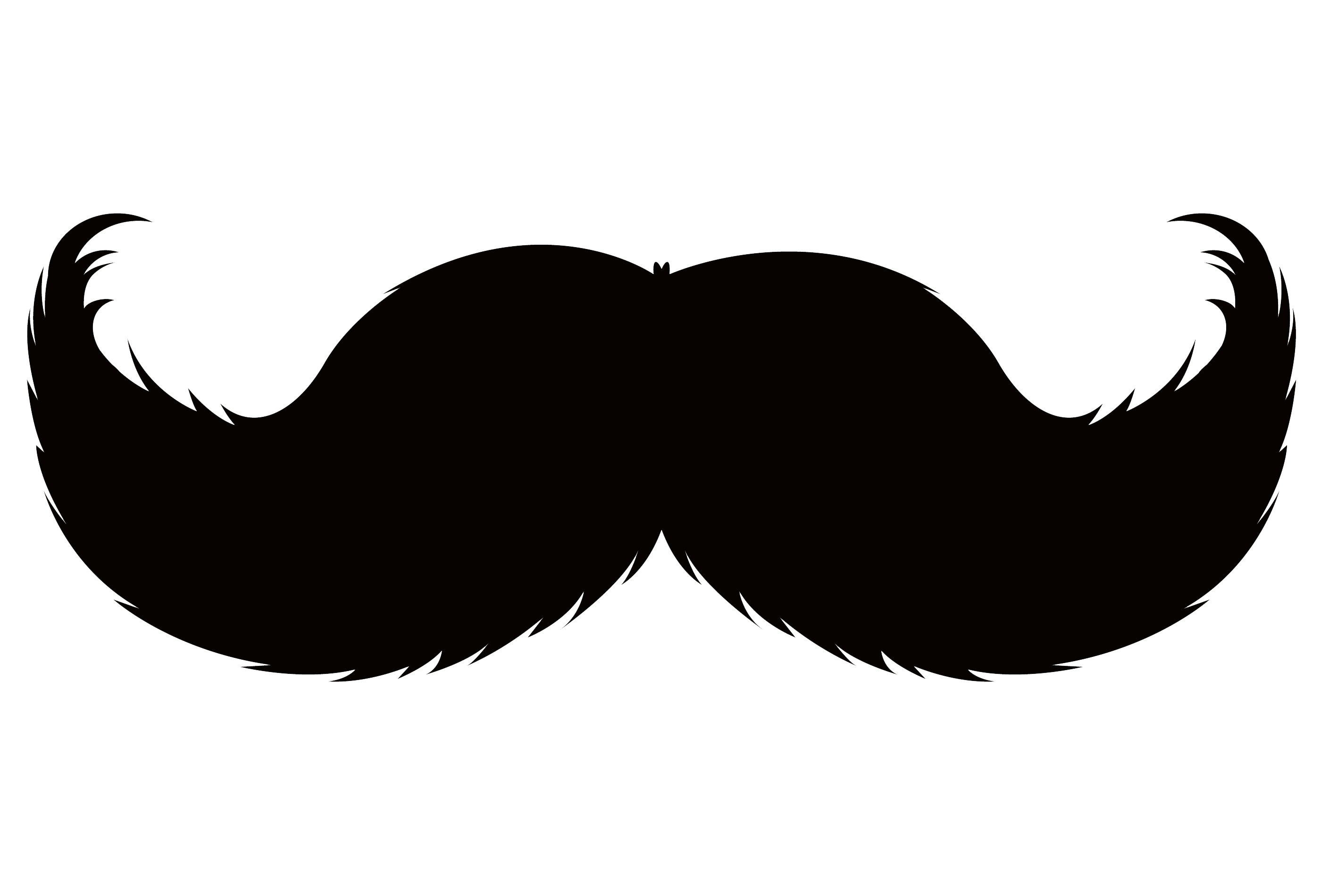 WILKIN GROUP’S FUNDRAISING FOR MOVEMBER